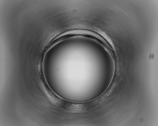 X0000091080057200708061345