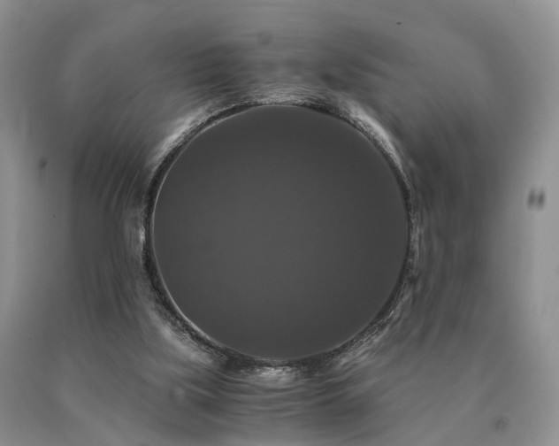 X0000091080059200708061345