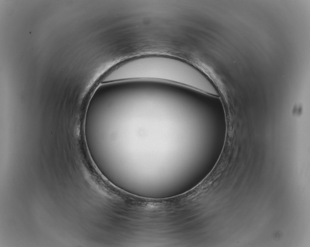 X0000091080060200708061345