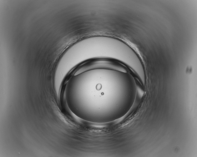 X0000091080061200708061345