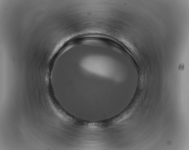 X0000091080064200708061345