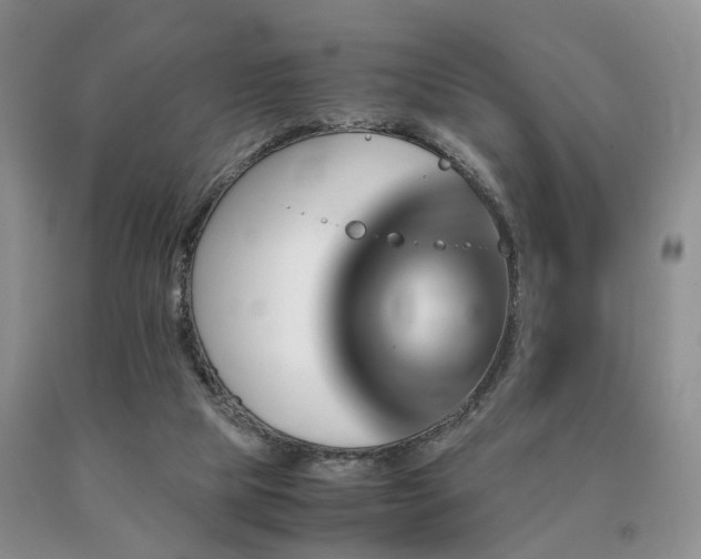 X0000091080065200708061345