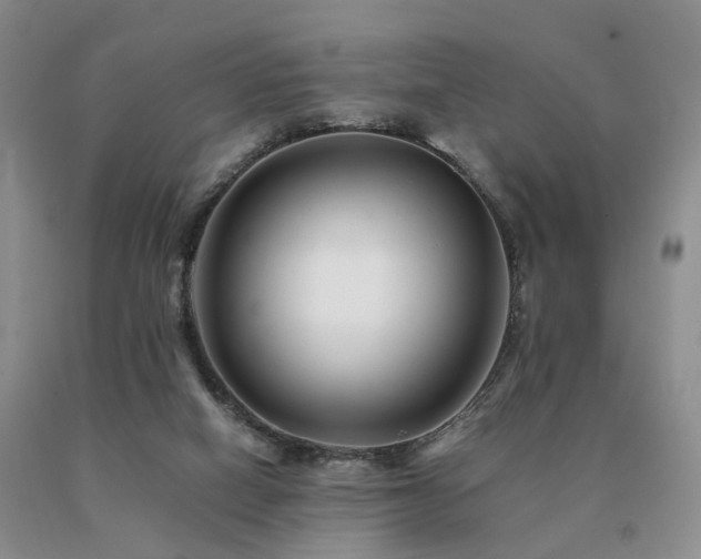 X0000091080066200708061345