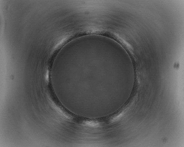 X0000091080067200708061345