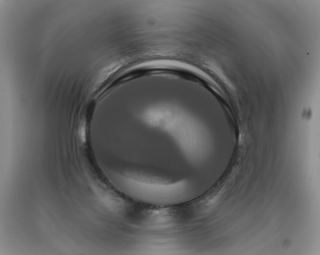 X0000091080068200708061345