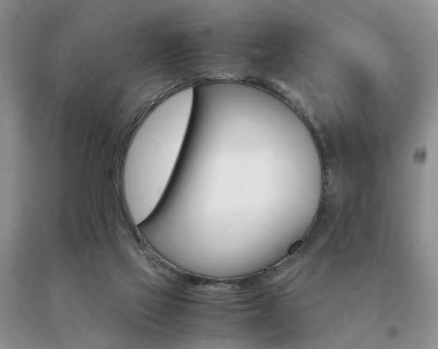 X0000091080069200708061345