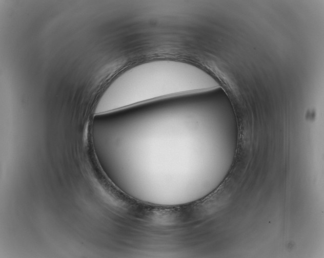 X0000091080070200708061345