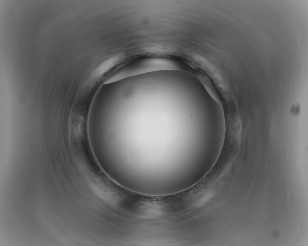 X0000091080071200708061345