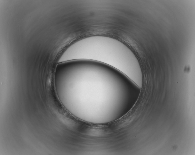 X0000091080072200708061345