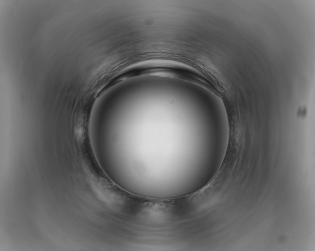 X0000091080074200708061345