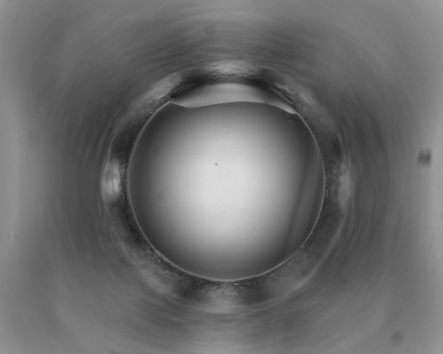 X0000091080075200708061345