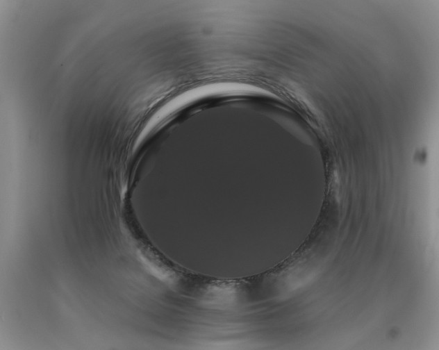 X0000091080076200708061345