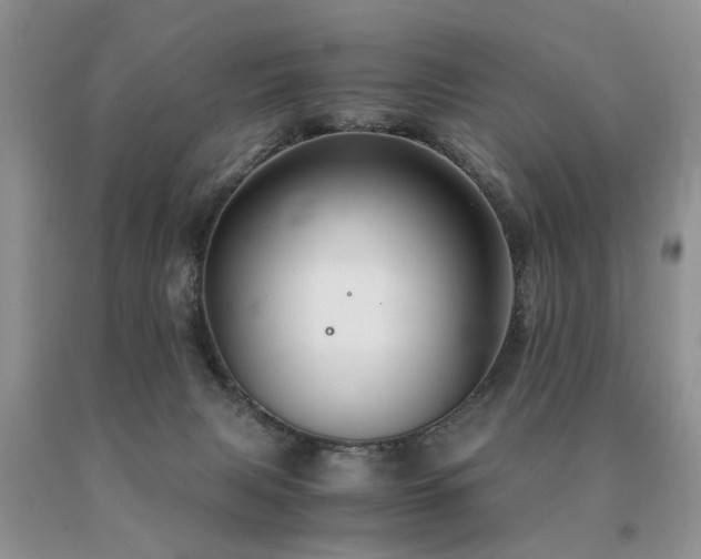 X0000091080079200708061345