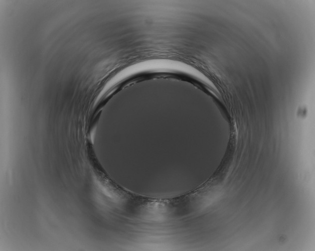 X0000091080080200708061345