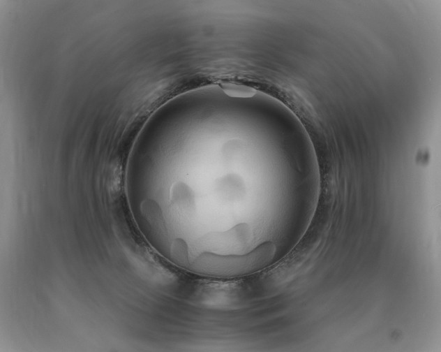 X0000091080081200708061345