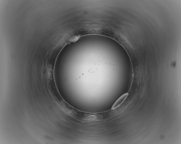 X0000091080083200708061345