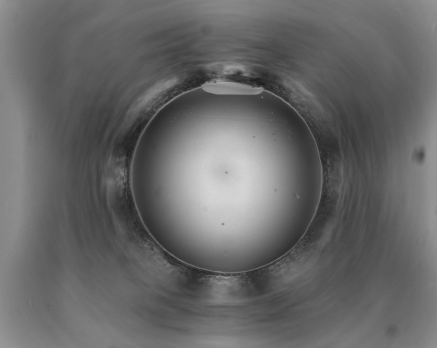 X0000091080085200708061345