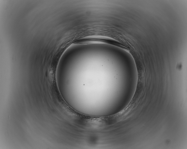 X0000091080086200708061345