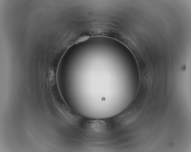 X0000091080087200708061345