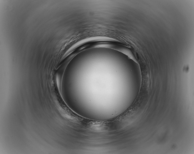 X0000091080088200708061345