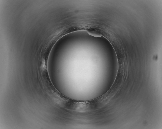 X0000091080089200708061345