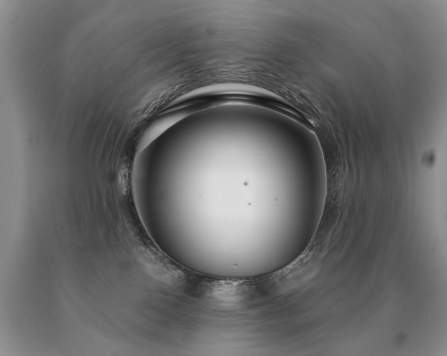 X0000091080090200708061345