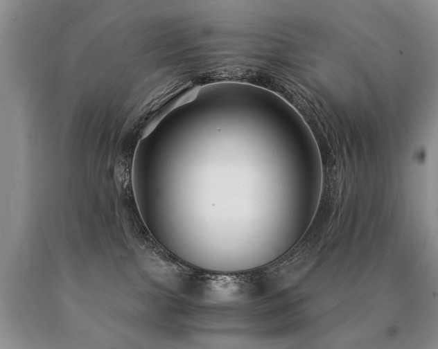 X0000091080091200708061345