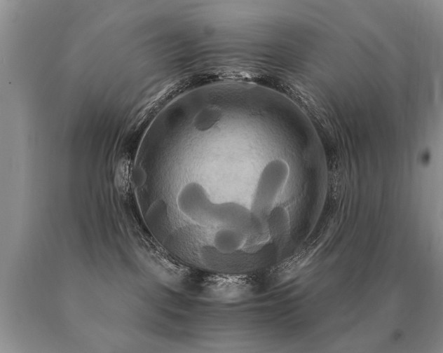 X0000091080093200708061345