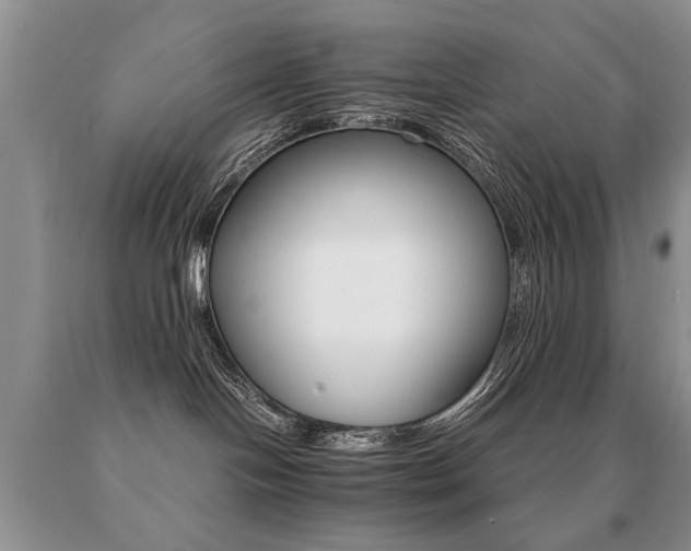 X0000091080094200708061345