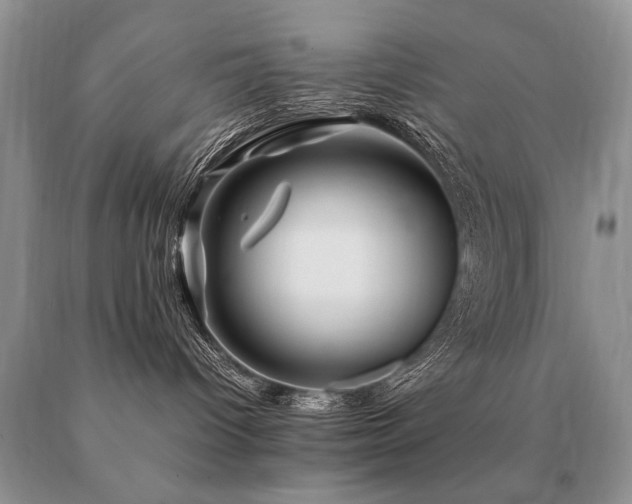 X0000091080096200708061345