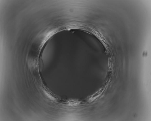 X0000091080099200708061345