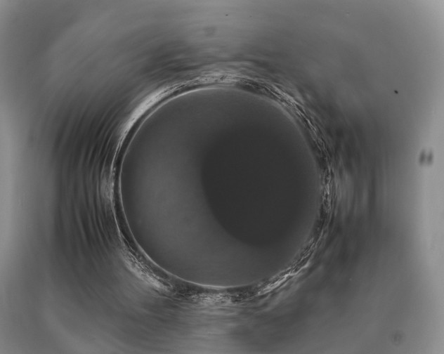 X0000091080100200708061345