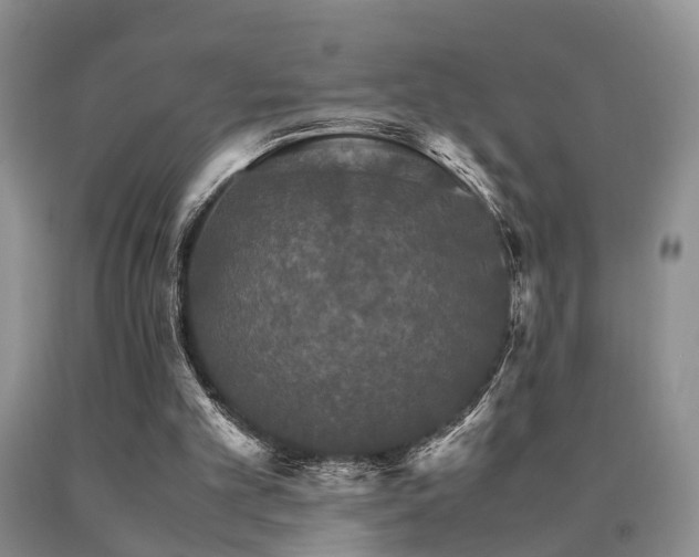 X0000091080101200708061345