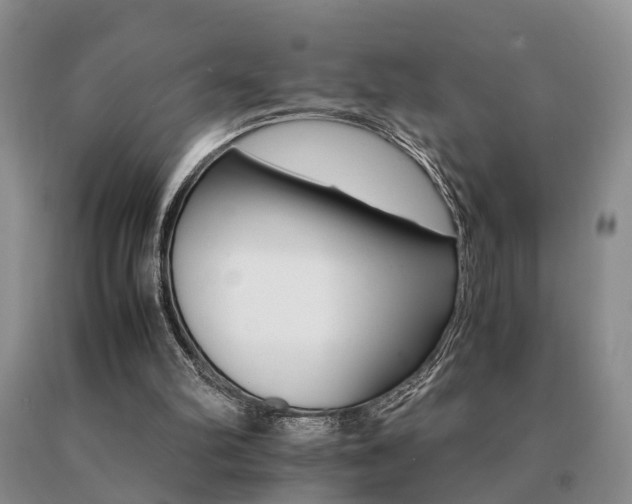 X0000091080102200708061345