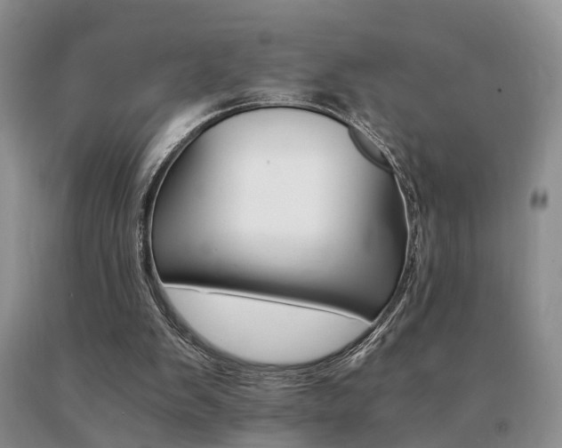 X0000091080103200708061345