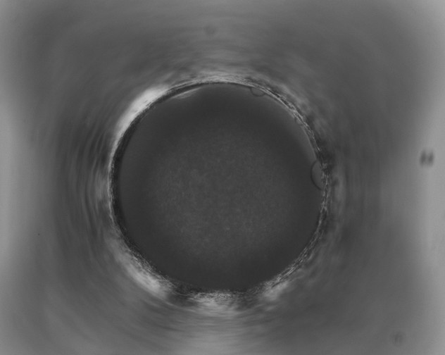 X0000091080104200708061345