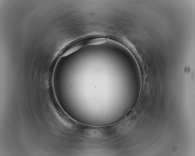 X0000091080106200708061345