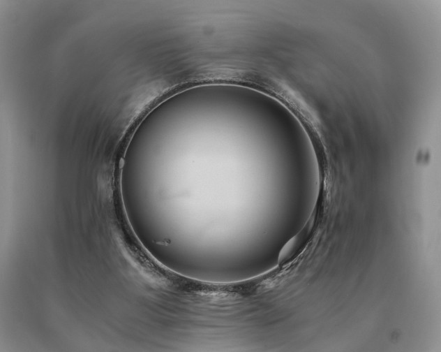 X0000091080107200708061345