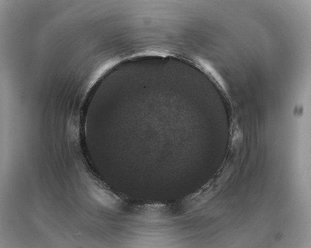 X0000091080108200708061345