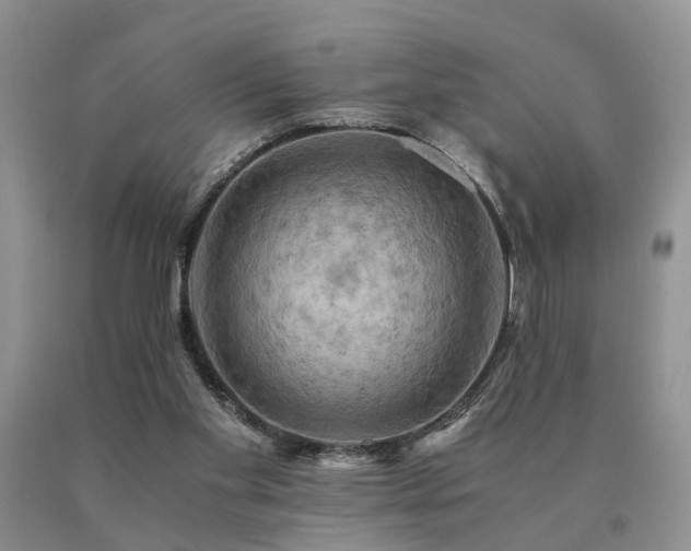 X0000091080109200708061345