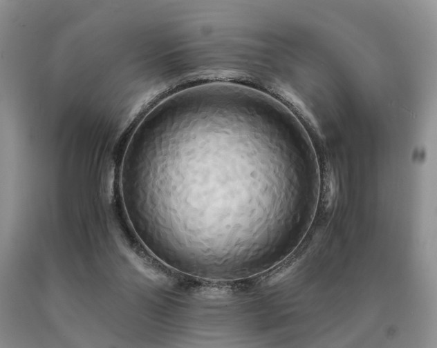 X0000091080110200708061345