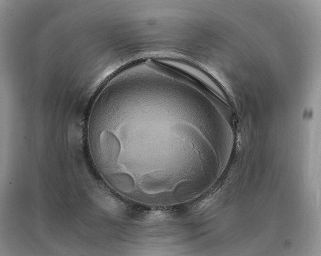 X0000091080111200708061345