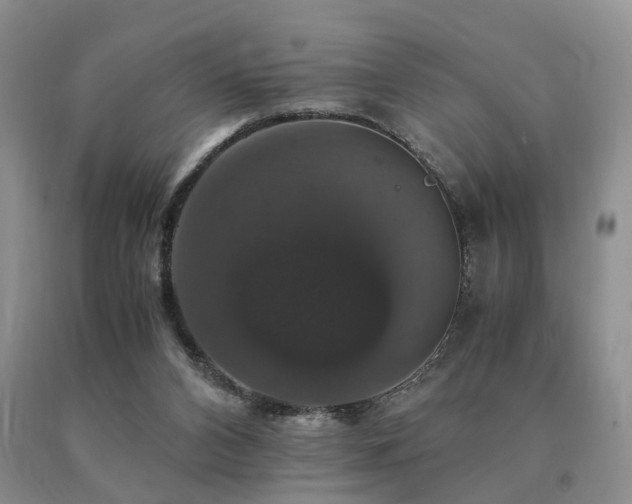 X0000091080112200708061345