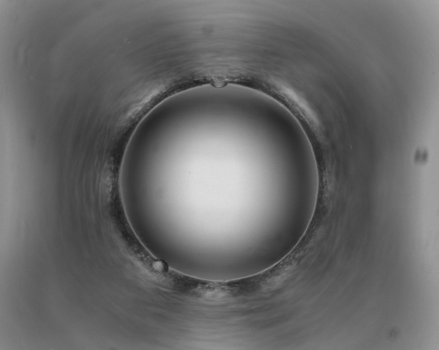 X0000091080113200708061345