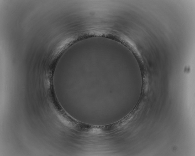 X0000091080114200708061345