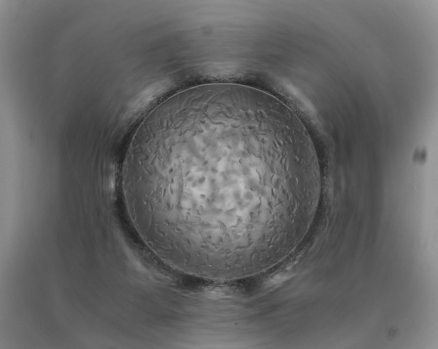 X0000091080115200708061345