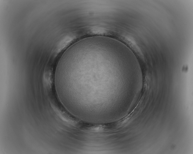 X0000091080116200708061345