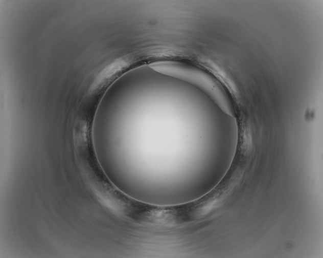 X0000091080117200708061345