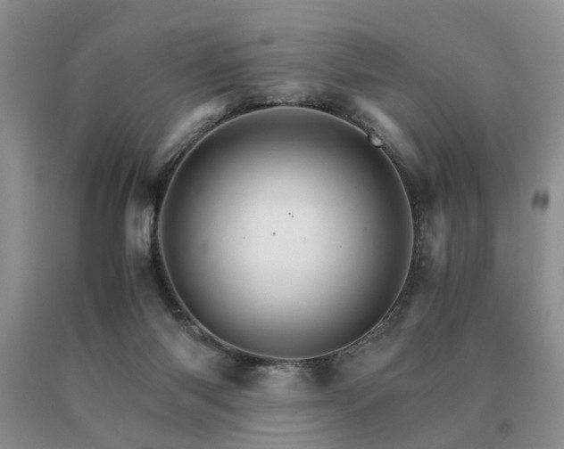 X0000091080118200708061345