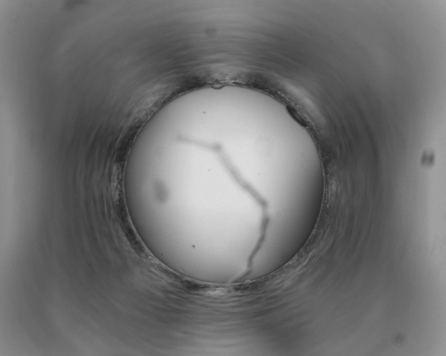 X0000091080121200708061345